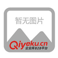 塑料打火機(jī)、金屬打火機(jī)、廣告打火機(jī)、磨砂打火機(jī)(圖)